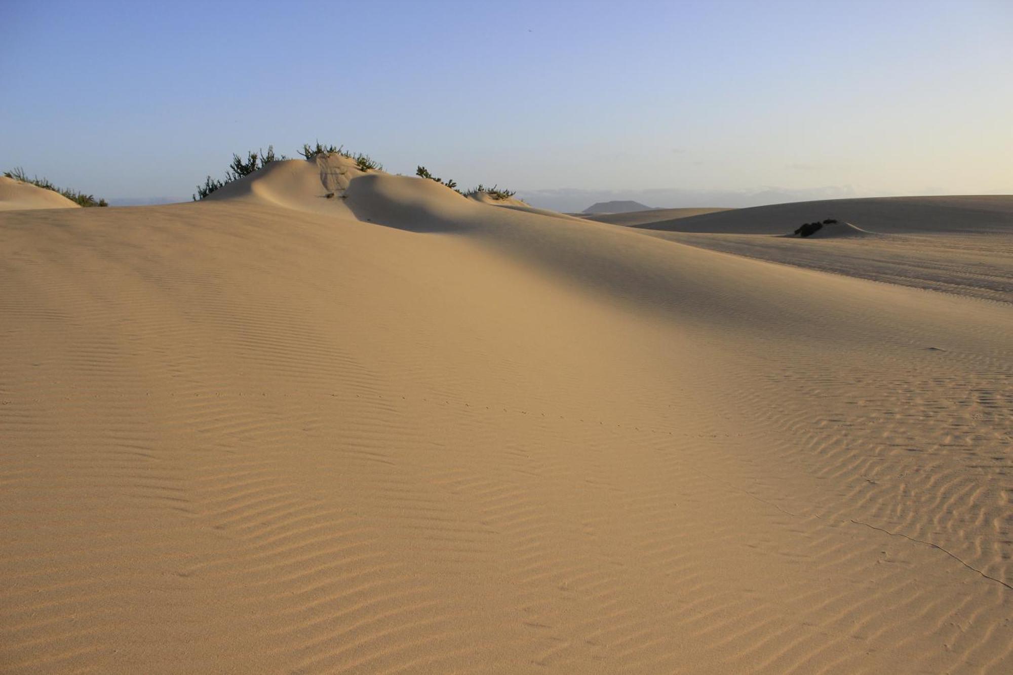 4Rooms Fuerteventura Corralejo Ngoại thất bức ảnh